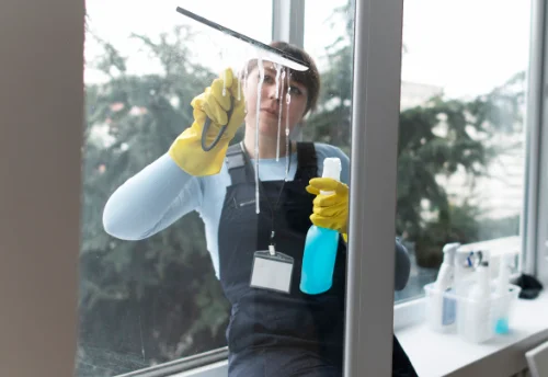 Nettoyage de vitres intérieures et extérieures à Giry